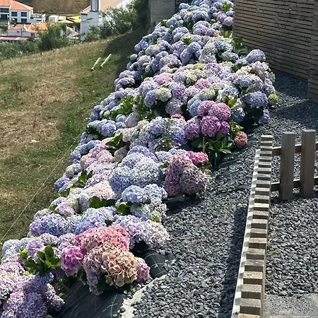 Holiday home Joao De Oliveira