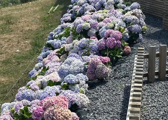 בית נופש Joao De Oliveira